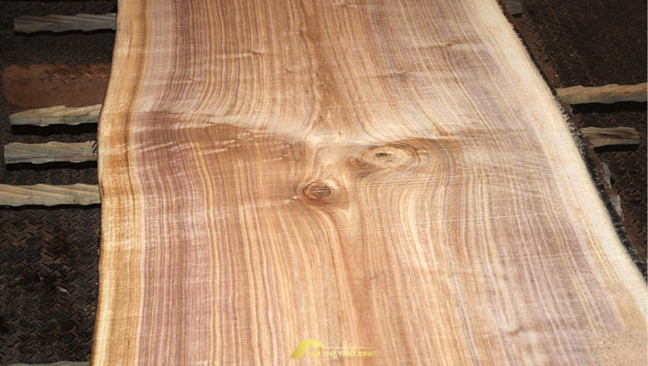 vân gỗ xẻ thực tế White Walnut Juglans cinerea