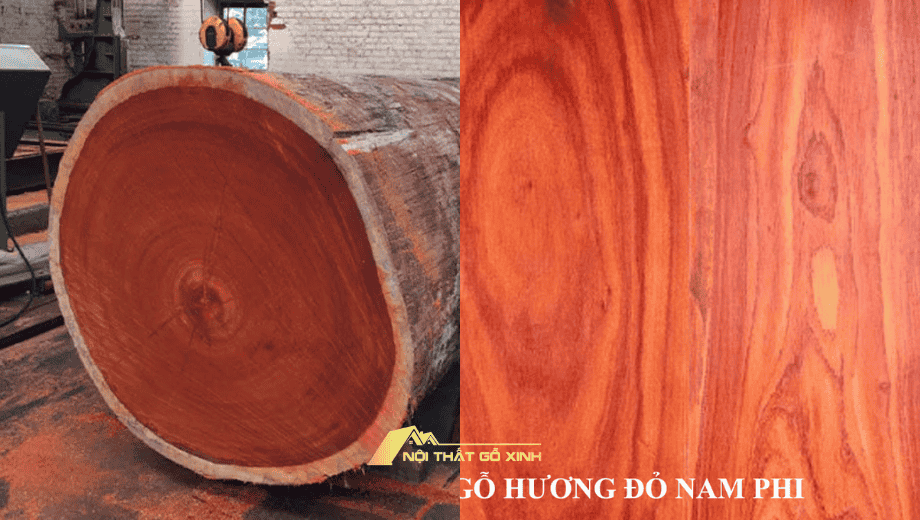 So sánh gỗ óc chó và gỗ hương