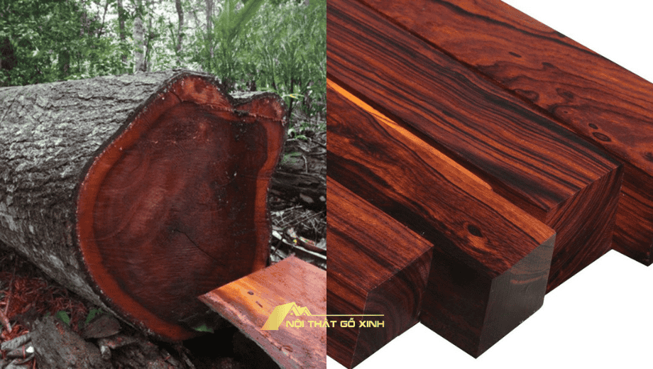 So sánh gỗ óc chó và gỗ lim