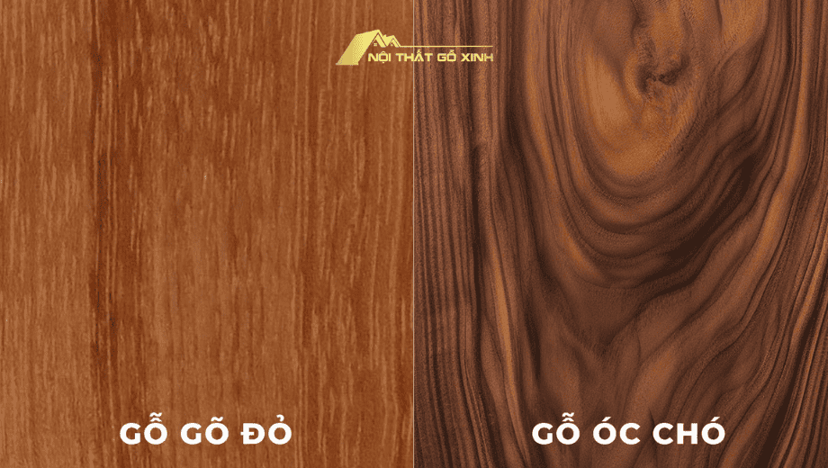 Sự Khác Biệt Giữa Gỗ Óc Chó Bắc Mỹ và Các Loại Gỗ Tự Nhiên Khác