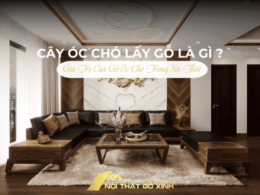 cây óc chó lấy gỗ