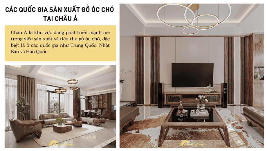 Các quốc gia sản xuất gỗ óc chó tại châu Á