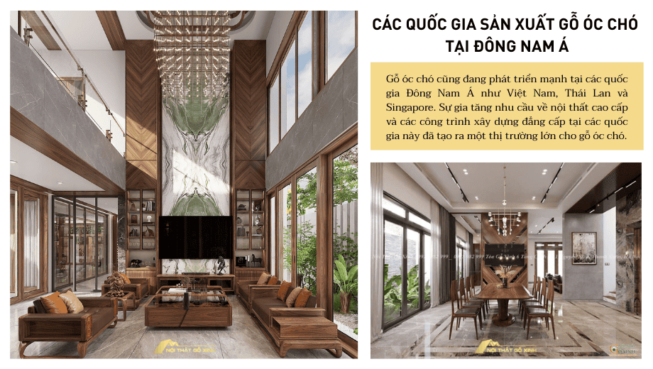 Các quốc gia Đông Nam Á và sự phát triển của thị trường gỗ óc chó