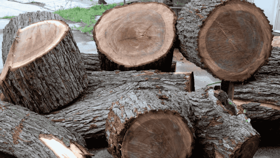 Gỗ óc chó Bắc Mỹ