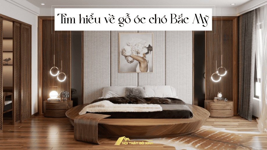 Tại sao gỗ óc chó Bắc Mỹ có giá cao hơn gỗ từ các nước khác?