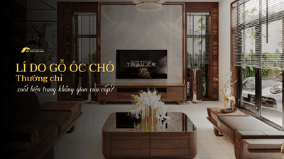Vì sao gỗ óc chó thường chỉ xuất hiện trong không gian cao cấp?