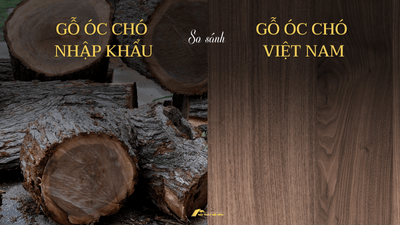 So sánh gỗ óc chó nhập khẩu và gỗ óc chó trồng tại Việt Nam