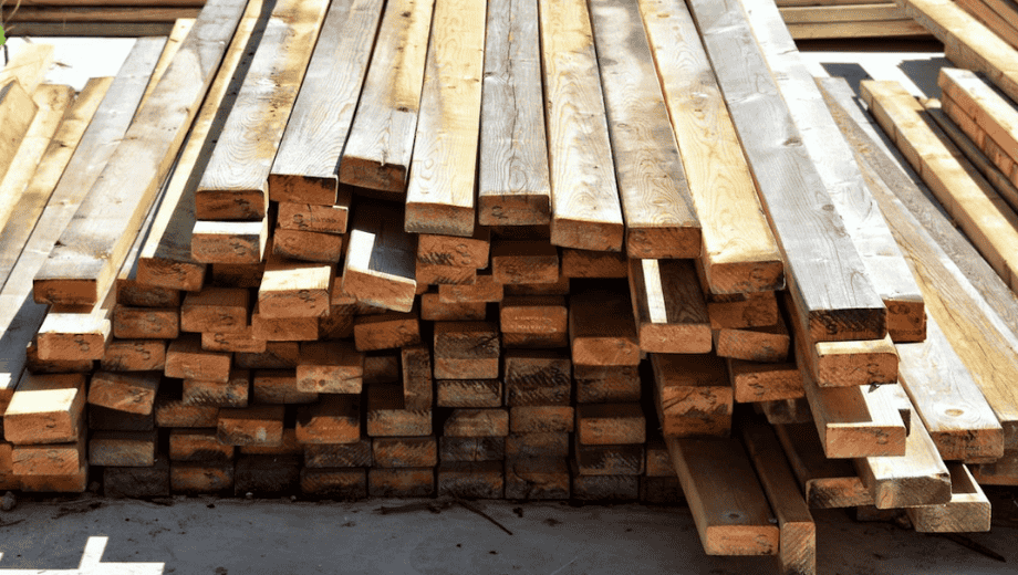 Gỗ óc chó được khai thác ở đâu? Nguồn gốc và quy trình thu hoạch