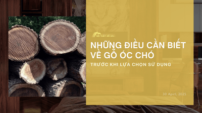Những điều cần biết về gỗ óc chó trước khi lựa chọn sử dụng