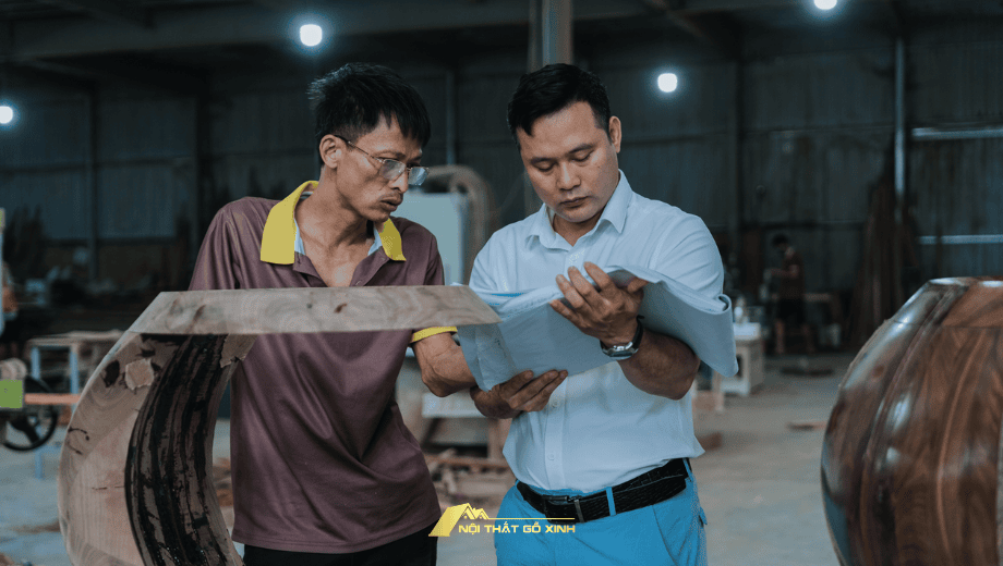 Gỗ óc chó được khai thác ở đâu? Nguồn gốc và quy trình thu hoạch