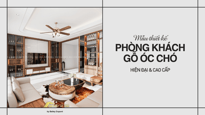 Mẫu thiết kế phòng khách gỗ óc chó hiện đại, cao cấp