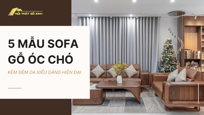 Top 5 Mẫu sofa gỗ óc chó kèm đệm da kiểu dáng hiện đại