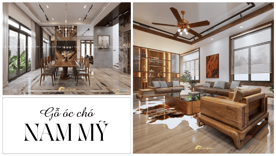 Đặc điểm của gỗ óc chó Nam Mỹ