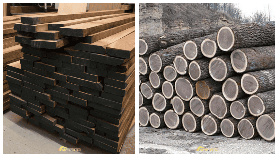 Các hình thức nhập khẩu gỗ óc chó