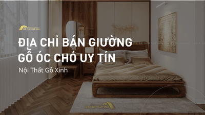 Địa chỉ bán giường ngủ gỗ óc chó uy tín