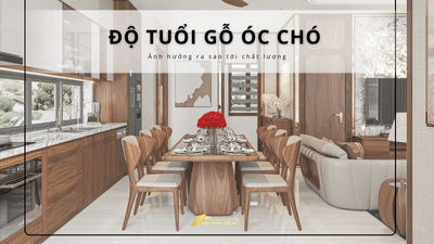 Độ tuổi cây gỗ óc chó ảnh hưởng ra sao đến chất lượng?