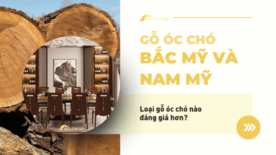 Gỗ óc chó Bắc Mỹ có đáng giá hơn gỗ óc chó Nam Mỹ?