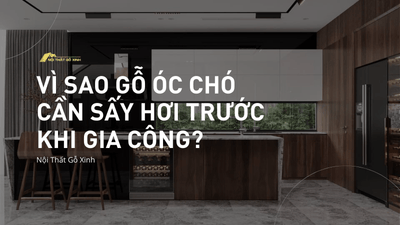 Vì sao gỗ óc chó cần được sấy hơi trước khi gia công?