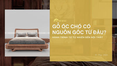 Gỗ óc chó có nguồn gốc từ đâu? Hành trình từ tự nhiên đến nội thất