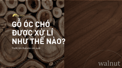 Gỗ óc chó được xử lý như thế nào trước khi đưa vào sản xuất?