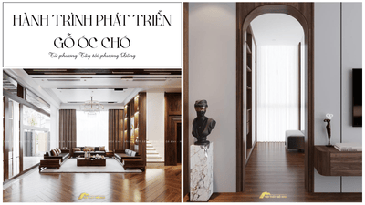 Hành trình phát triển của gỗ óc chó từ phương tây đến phương đông