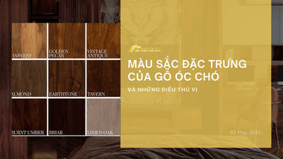 Màu sắc đặc trưng của gỗ óc chó và những điều thú vị