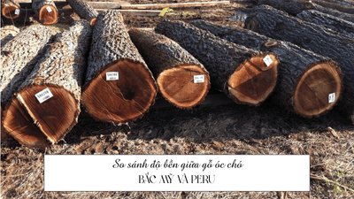 So sánh độ bền giữa gỗ óc chó Bắc Mỹ và Peru