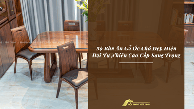 Bộ Bàn Ăn Gỗ Óc Chó Đẹp Hiện Đại Tự Nhiên Cao Cấp Sang Trọng