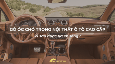 Gỗ óc chó trong nội thất ô tô cao cấp – Vì sao được ưa chuộng?