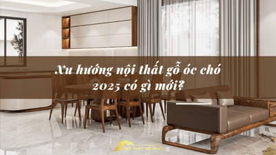 Xu hướng nội thất gỗ óc chó 2025 có gì mới?