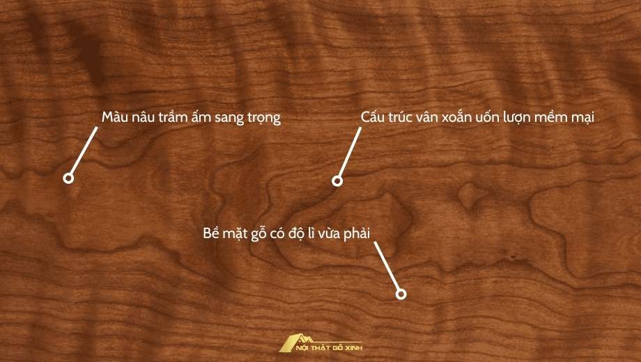 Cấu trúc gỗ óc chó