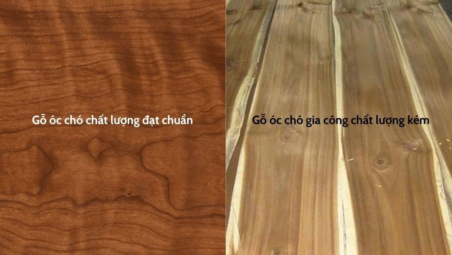 Phân biệt chất lượng gỗ óc chó