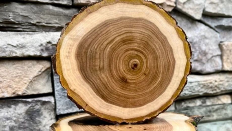 Hiệu ứng thị giác của gỗ óc chó