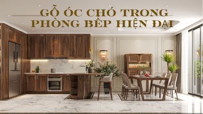 Nội thất phòng bếp bằng gỗ óc chó