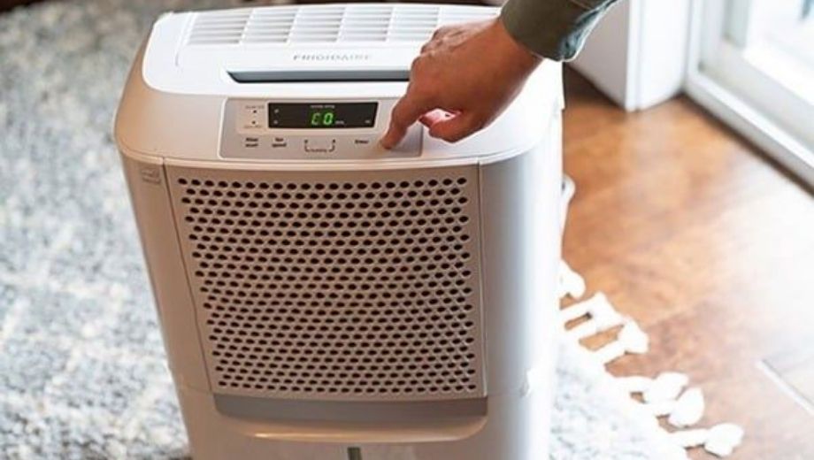 Cách sử dụng máy hút ẩm để bảo vệ nội thất gỗ óc chó