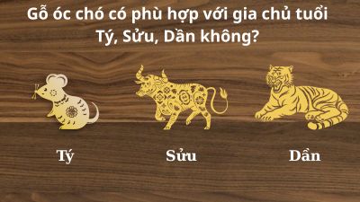 Gỗ óc chó có phù hợp với gia chủ tuổi Tý, Sửu, Dần không
