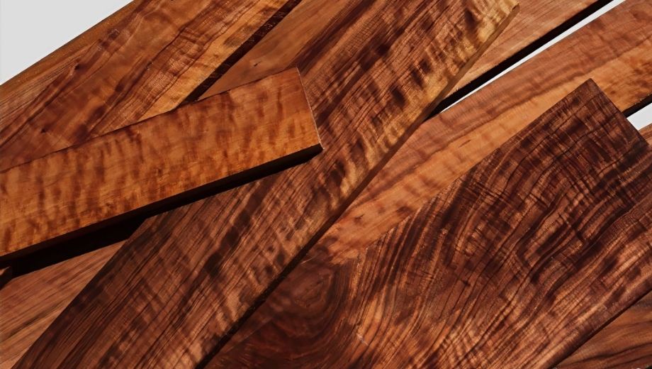 Hệ vân gỗ óc chó độc bản sang trọng, độc đáo 