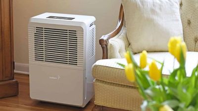 máy hút ẩm trong bảo vệ nội thất gỗ óc chó