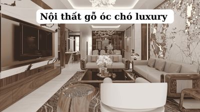 Nội thất gỗ óc chó luxury