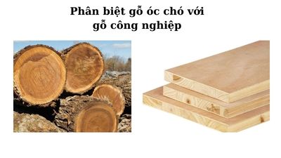 Phân biệt gỗ óc chó với gỗ công nghiệp