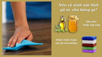 Vệ sinh nội thất gỗ óc chó