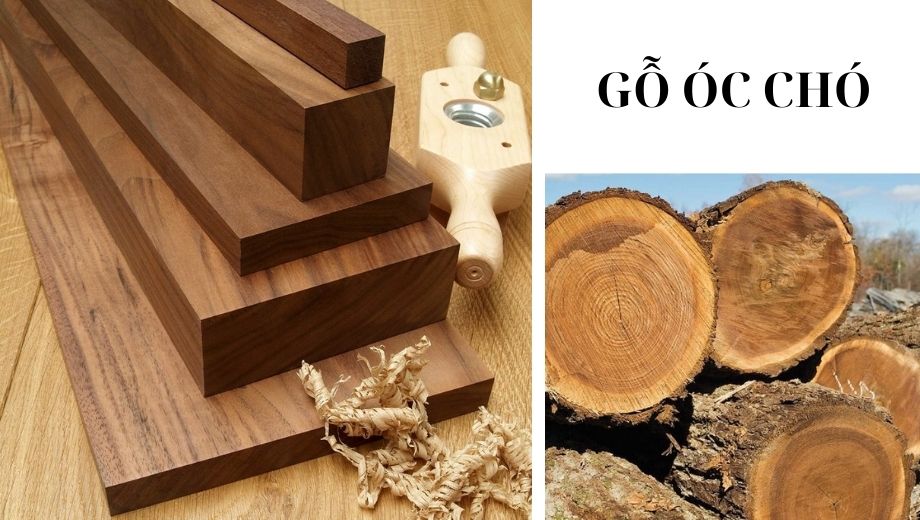 Giới thiệu về gỗ óc chó 
