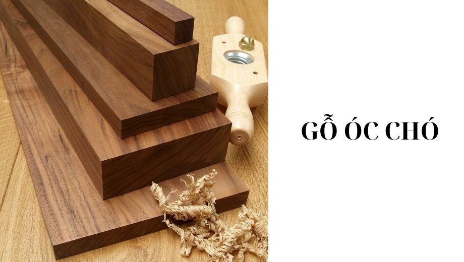 Gỗ óc chó 