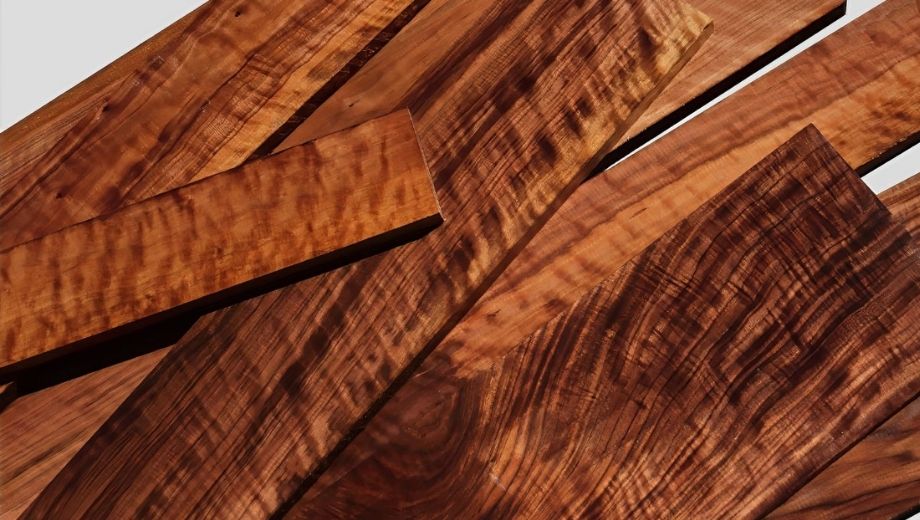 Mùa gỗ óc chó tự nhiên 