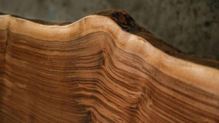 Nhận biết gỗ óc chó thật qua thớ gỗ và đường cắt