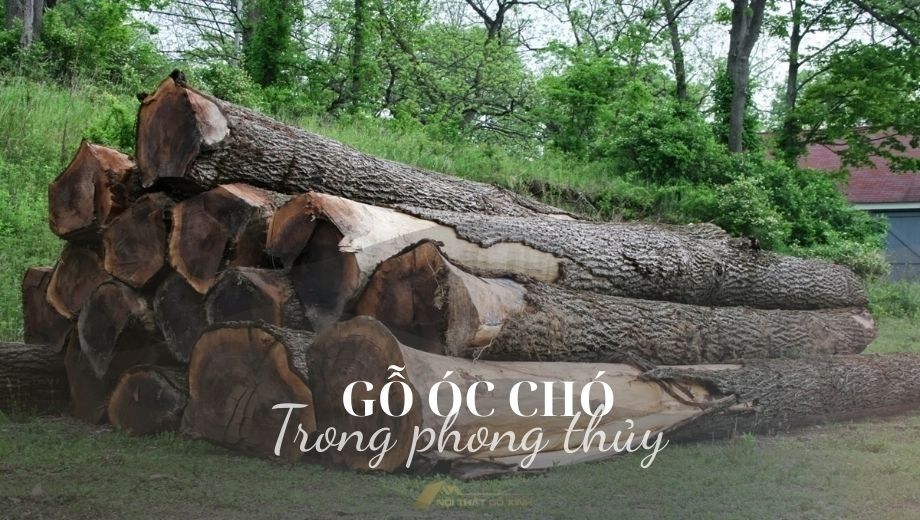 Gỗ óc chó trong phong thủy 