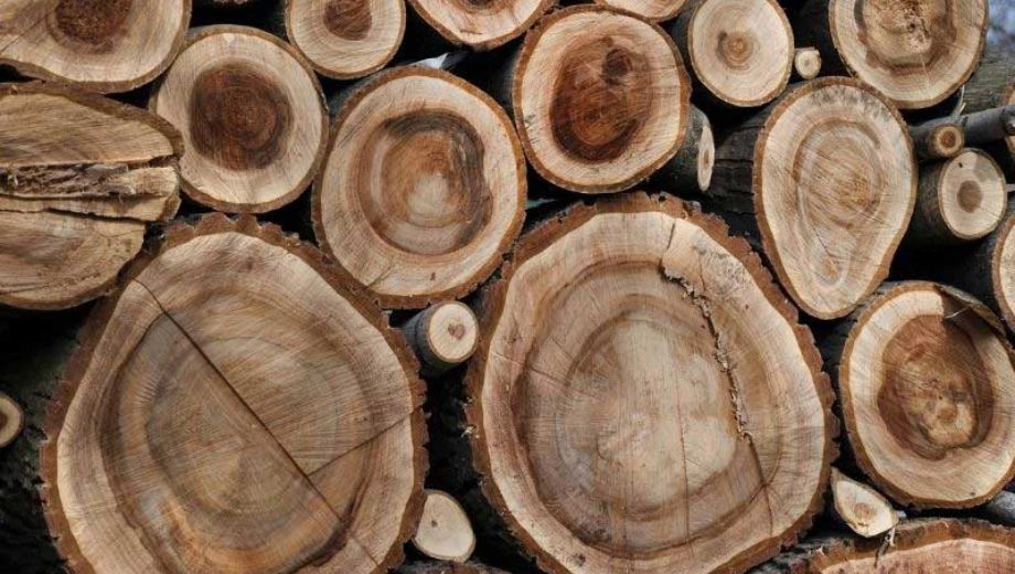 Gỗ óc chó tự nhiên