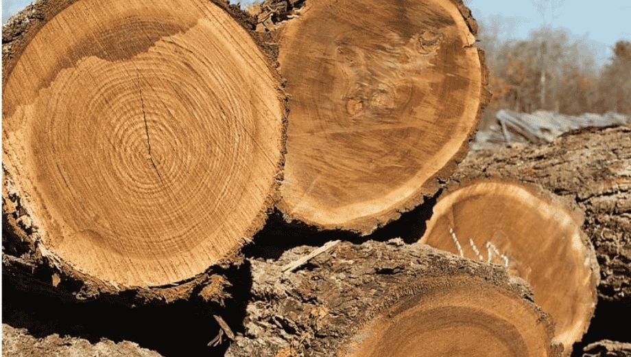 Tiêu chuẩn phân loại khắt khe 