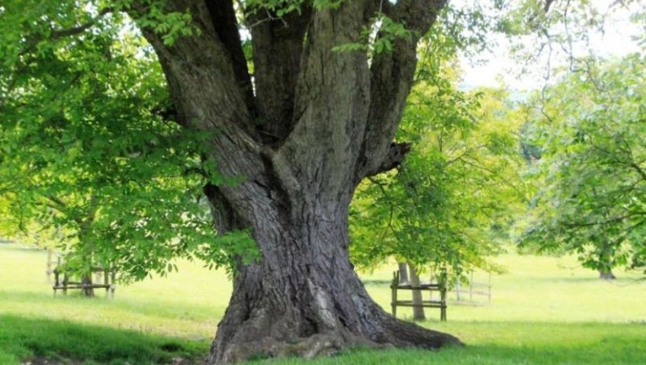 Yếu tố tự nhiên và nguồn  cung ảnh hưởng 