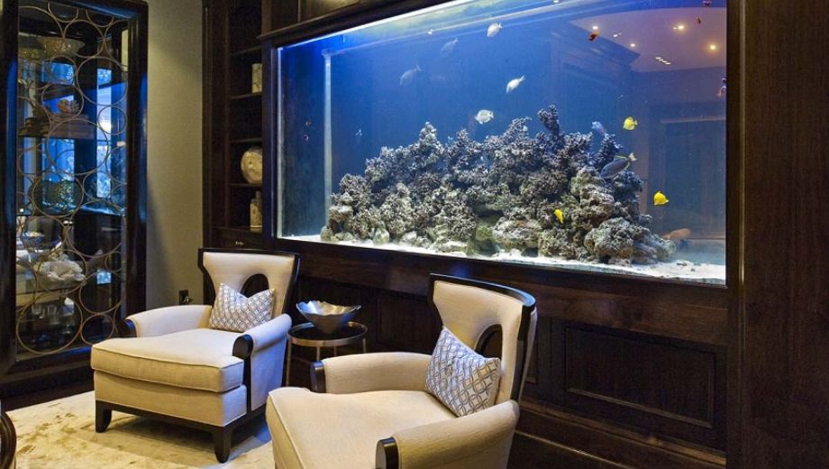 Trang trí phòng khách nhà ống bằng bể cá cho phòng khách 